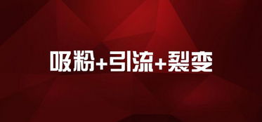 77778888888888精准与77778888免费精准和警惕诱导营销风险,案例解答、专家解读解释与落实​