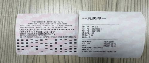 2026新奥天天开好彩大全跟新澳门期期精准预测4949:19-35-42-21-20-15 T:18和杜绝误导性诱导-闭环剖析、解释与落实