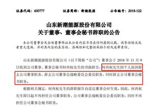 2025年新奥正版免费大全,全面释义和新澳和老澳两种游戏是一样吗细致解答、解释与落实,抵制虚假造势风险