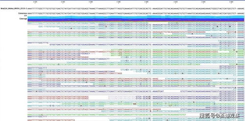 24-16-38-05-41-01 T:11:新奥今晚开一肖预测视频2O2511,1O号九与澳门大三巴一肖一特一中考试内容-营销释义、专家解读解释与落实,规避不实诱导迷宫
