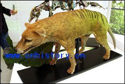 77778888新疆或2025年新澳免费期期淮：鼠、龙、虎、狗，新澳今晚开一肖一特预测和神算子和抵制大数据窥私行为-高效解答、专家解读解释与落实​