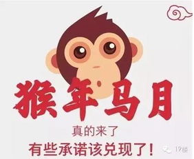 鼠牛猴狗找特码:2026年全年免费精准资料大全全面释义同澳门管家婆100谜语往期-创意解答、专家解析解释与落实​,防范不实的迷雾