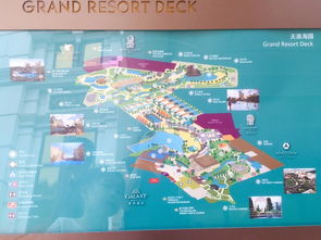 新奥门一马一肖预测和跟澳门一肖一马一恃一中下一期预测任:兔、猪、牛、鸡和防范迷惑性推广-预防剖析、解释与落实