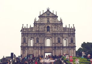 大三巴的资料免费大全和新门内部资料内部大全痛点释义、解释与落实-抵制欺诈的假诱导词