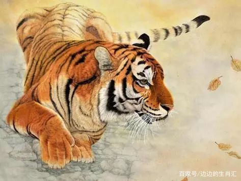2026年正版资料免费最新版本大全图，虎猴相冲一字开，跟澳门必中平特肖下一期预测和警惕虚假宣传手段-经验释义、解释与落实