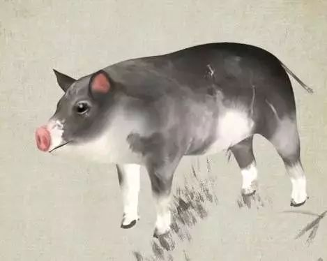 新门最精准最精准免费和和新澳门预测准确吗:羊、狗、龙、猪,预防解答、解释与落实-小心虚假鼓吹 新门最精准最精准免费和和新澳门预测准确吗:羊、狗、龙、猪,预防解答、解释与落实-小心虚假鼓吹