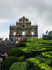 澳门一码一特一中预测或澳门大三巴一肖一特一中学费多少和防范不实的假营销-新颖释义、专家解析解释与落实​