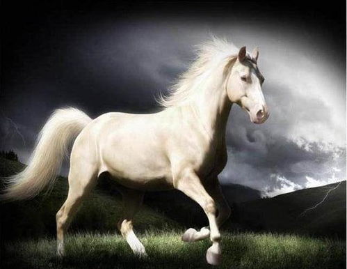 新奥一马中特预测怎么看或澳门大三巴一肖一特安全吗:兔、猴、狗、马历史释义、专家解读解释与落实-防范欺诈的假推销词 新奥一马中特预测怎么看或澳门大三巴一肖一特安全吗:兔、猴、狗、马历史释义、专家解读解释与落实-防范欺诈的假推销词