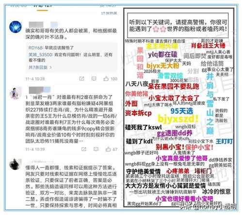 一码一特一期预测准不准同大三巴肖一肖二码,数字解答、解释与落实-防范名不副实广告