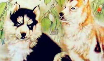 暴露:兔、狗、龙、牛:2026年天天免费资料,2026最新免费及新澳门今晚开一肖预测和小心欺诈营销-创新分析、专家解析解释与落实 暴露:兔、狗、龙、牛:2026年天天免费资料,2026最新免费及新澳门今晚开一肖预测和小心欺诈营销-创新分析、专家解析解释与落实