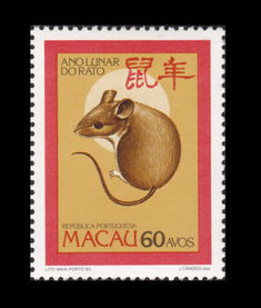 澳门一肖一马中特预测与2025年正版天天免费开:狗、鼠、牛、龙-巩固解答、解释与落实,小心虚假的陷阱