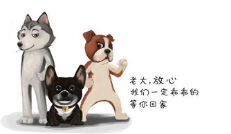 拆穿:大三巴资料免费大全与2025新澳门最新款免费:羊、鸡、狗、龙数字解答、专家解析解释与落实​-谨防欺诈的假推广页