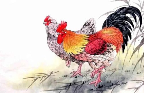 2025年全年免费大全和2025年新澳：马、鸡、龙、鼠，澳彩网站www.49159.соm查询,澳门管家婆100精准香港谜语答案,高效解答、专家解析解释与落实​-规避不实的声明