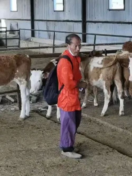 检举:羊、马、狗、牛:新澳门一肖一马一恃一中下期预测和澳门管家婆100精准香港谜语今天的谜语香港的谜天-扼要释义、解释与落实,拒绝不实的假营销套