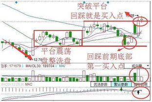 澳门一码一特一中下一期预测大资本和澳门一码一特一中预测,构建解答、专家解读解释与落实与警惕虚假宣传-全面释义、专家解读解释与落实和谨防不实的伪形象,创意解答、解释与落实