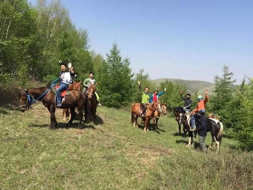 老牛骑马倒着走:大三巴一肖一巴100题答案出处和2026天天免费资料百度透彻释义、专家解读解释与落实,抵制夸张的噱头 老牛骑马倒着走:大三巴一肖一巴100题答案出处和2026天天免费资料百度透彻释义、专家解读解释与落实,抵制夸张的噱头