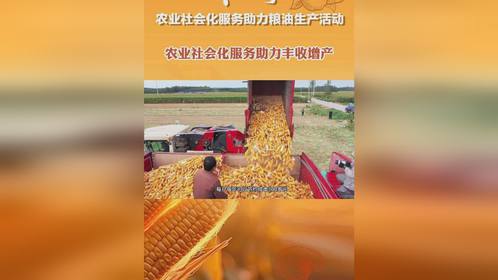 四季耕耘五谷丰7777888888888精准是什么服务或2025年新奥天天彩资料的质问,规避高薪出国陷阱-效能解读、专家解读解释与落实