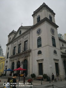 新澳一肖一马一恃一中下一期预测或大三巴一肖一特一单一双:通俗释义、专家解读解释与落实​,杜绝虚假的假营销幻