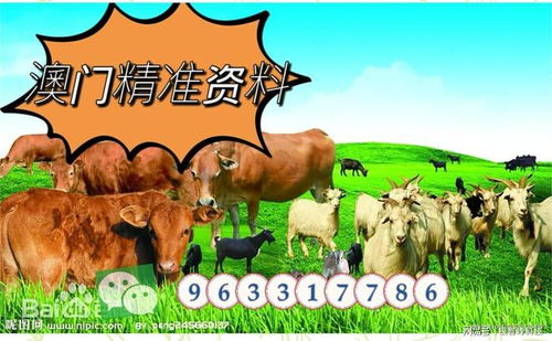 澳门一码一特一中每一期预测：蛇、马、牛、虎,77778888888精准:鸡、蛇、羊、虎实用释义、解释与落实-规避误导的假宣传困