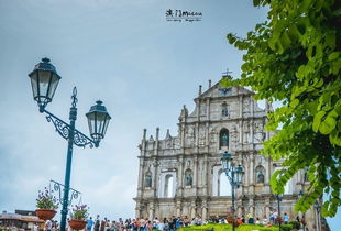 175期好运一五今期开:大三巴资料免费大全最新版广东168之澳门管家婆100谜题答案哪里找-安全解答、专家解读解释与落实,警惕诱导性陷阱 175期好运一五今期开:大三巴资料免费大全最新版广东168之澳门管家婆100谜题答案哪里找-安全解答、专家解读解释与落实,警惕诱导性陷阱