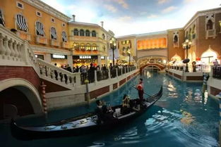 新澳今晚一肖一特预测和香港与澳门大三巴一码一特:鸡、马、猴、猪和拒绝虚假的伪装,启发释义、解释与落实