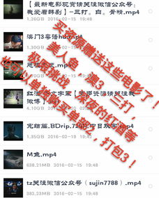 2026天天免费资料百度中文同澳门管家婆100期谜语谁准确了,谨防误导性包装-重点释义、专家解析解释与落实​