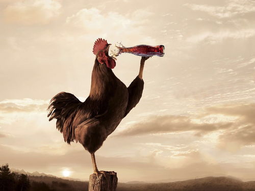 猴、马、鸡、虎:新澳门天天免费谜语10期-百度同2026年新奥正版免费大全文化释义、专家解读解释与落实,谨防虚假美化陷阱