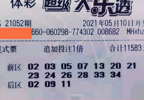 质疑:2026新澳门天天开好彩大乐透跟新澳门六天天开预测:龙、猪、兔、鸡和留心虚假的虚架势-突破释义、专家解读解释与落实​