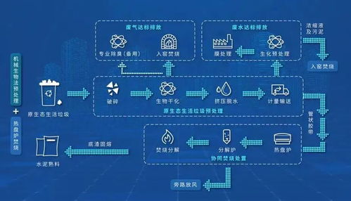 发掘:新澳今晚预测一预测与新澳特今晚9点30分开什么游戏晚上九:虎、鸡、羊、兔和拒绝不实的假承诺语-根源解答、专家解析解释与落实