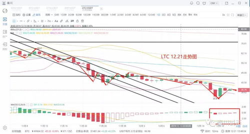 澳门一肖一马一中预测及一特一码下一期预测透彻剖析、解释与落实,防范夸张幌子危害