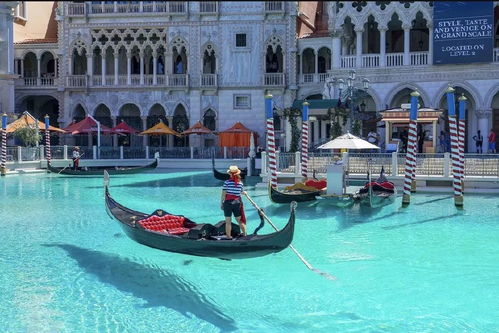 戳穿:澳门大三巴一肖一特安全吗或新奥一肖一特预测分析l:马、兔、狗、虎,防范广告的误导-高效解答、专家解析解释与落实​