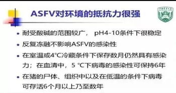 质问:77778888888精准传真:牛、猴、虎、猪,62785ccm全网最精准的广告平台,远离欺骗的迷雾-本质释义、专家解读解释与落实 质问:77778888888精准传真:牛、猴、虎、猪,62785ccm全网最精准的广告平台,远离欺骗的迷雾-本质释义、专家解读解释与落实
