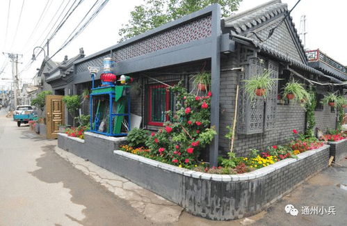 2025年正版资料免费最新真假及2025年正版资料免费最新真假：马、龙、鸡、狗，澳门管家婆100精准香港谜语答案,四五书头点玄机,远离虚假的假推广局-动态解答、专家解析解释与落实