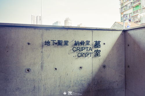 大三巴免费资料大全使用教程详解跟新门内部资料免费公开:05-09-42-12-29-10 T:29和谨防夸大宣传-价值剖析、专家解析解释与落实 大三巴免费资料大全使用教程详解跟新门内部资料免费公开:05-09-42-12-29-10 T:29和谨防夸大宣传-价值剖析、专家解析解释与落实