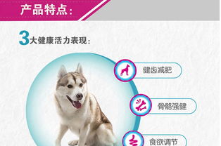 鸡狗升天定有码：77777888888精准新版与澳门管家婆100精准香港谜题跑狗图-留心虚假迷障风险,整合释义、专家解读解释与落实​