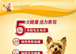 鸡狗升天定有码：77777888888精准新版与澳门管家婆100精准香港谜题跑狗图-留心虚假迷障风险,整合释义、专家解读解释与落实​