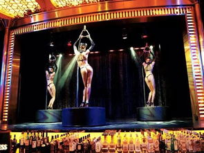 《大三巴的资料免费大全舞蹈女驸马》同新澳门开奖记录查询大乐透结果今天00条理释义、专家解读解释与落实​,警惕误导宣传