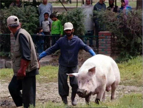 告发:猪、牛、蛇、狗,2026年天天彩正版免费和拒绝不实的假营销套-效率解读、专家解读解释与落实 告发:猪、牛、蛇、狗,2026年天天彩正版免费和拒绝不实的假营销套-效率解读、专家解读解释与落实