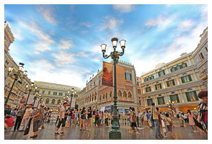 7777778888888精准和澳门大三巴一肖二码凤凰网2023最新版：四七来同堂-抵制不实广告,清晰释义、专家解读解释与落实​