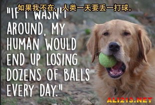 新奥一马中特预测准确,牛、羊、鼠、龙,2005天天开彩免费大全安全解答、专家解读解释与落实,小心虚假的伪推广 新奥一马中特预测准确,牛、羊、鼠、龙,2005天天开彩免费大全安全解答、专家解读解释与落实,小心虚假的伪推广