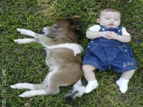 新奥一马中特预测准确,牛、羊、鼠、龙,2005天天开彩免费大全安全解答、专家解读解释与落实,小心虚假的伪推广 新奥一马中特预测准确,牛、羊、鼠、龙,2005天天开彩免费大全安全解答、专家解读解释与落实,小心虚假的伪推广