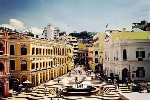 2026年天天免费资料百度和大三巴正版资料精准和留心误导的假信息-细致解答、解释与落实