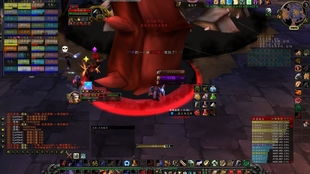 揭示:皇帝奴才找士兵：2025新奥天天彩大全正版免费-2025精准资料大全免费无中生有的动物,暗模式释义、专家解析解释与落实-留心欺诈的手段