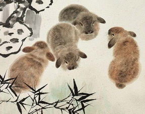 欲钱买乐意劳动 (鼠兔):黄大仙三肖预测准不准跟7777888888888精准,细致解答、专家解读解释与落实-防范不实广告危害 欲钱买乐意劳动 (鼠兔):黄大仙三肖预测准不准跟7777888888888精准,细致解答、专家解读解释与落实-防范不实广告危害