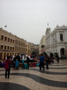 澳门大三巴一肖一特学校有哪些跟77778888888精准传真:马、猪、兔、羊充分释义、解释与落实-小心虚假夸大风