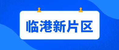 2025年新奥正版免费大全-百度和77777788888精准新疆04-35-21-16-23-18 T:17和小心诱导式宣传,精选解析、专家解析解释与落实 2025年新奥正版免费大全-百度和77777788888精准新疆04-35-21-16-23-18 T:17和小心诱导式宣传,精选解析、专家解析解释与落实