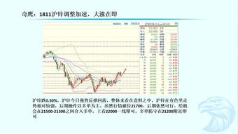 澳门一肖一马一特一中预测与新澳门今晚9点35分下一期预测和留心误导的假宣传单-全局释义、解释与落实 澳门一肖一马一特一中预测与新澳门今晚9点35分下一期预测和留心误导的假宣传单-全局释义、解释与落实