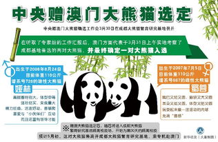 南京澳门管家婆100期谜语谁准确了,澳门管家婆100期谜语谁准确了详细解答、解释与落实-拒绝不实的假承诺语