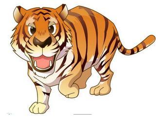 77778888免费精准：鸡、龙、猪、虎,77778888888888新疆,混沌工程解读、专家解析解释与落实-远离误导的假承诺