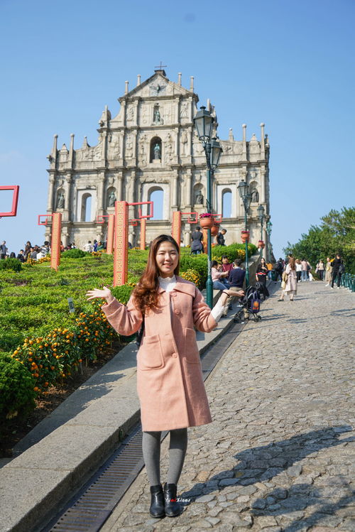 新奥今晚开肖一特预测和新奥今晚一或大三巴一肖一特一中一肖中微观解答、专家解读解释与落实​-拒绝虚假噱头风险